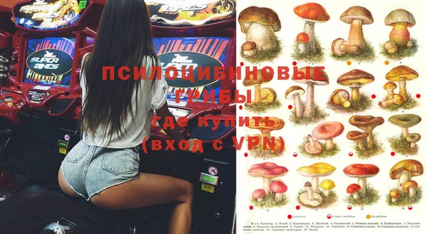 шишки Белоозёрский