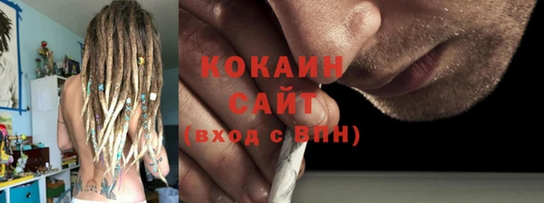 шишки Белоозёрский