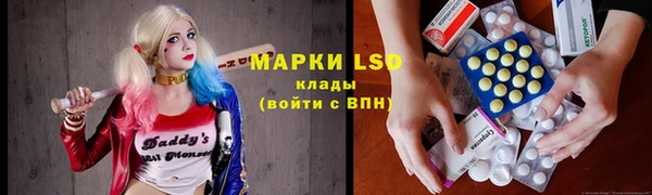 шишки Белоозёрский