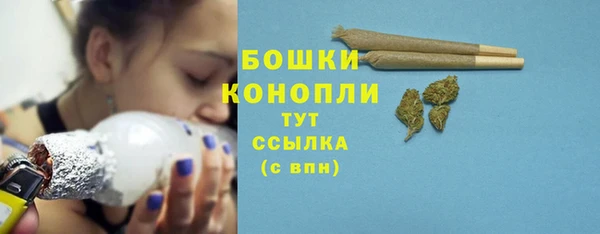 шишки Белоозёрский