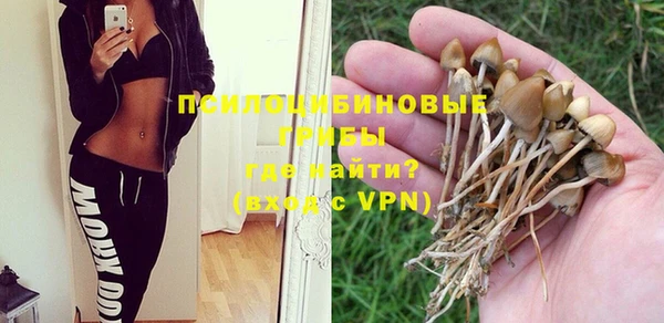 mix Белокуриха