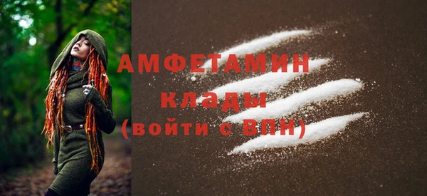 шишки Белоозёрский
