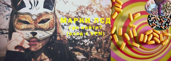 шишки Белоозёрский