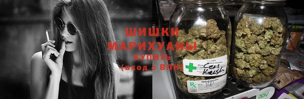 шишки Белоозёрский