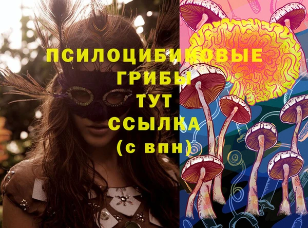 mix Белокуриха
