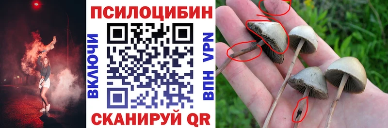 Псилоцибиновые грибы ЛСД  Нижние Серги 